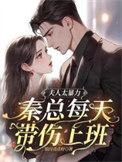 夫人太暴力,秦总每天带伤上班
